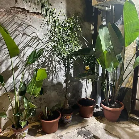 Conny's House Apartment